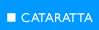 Cataratta